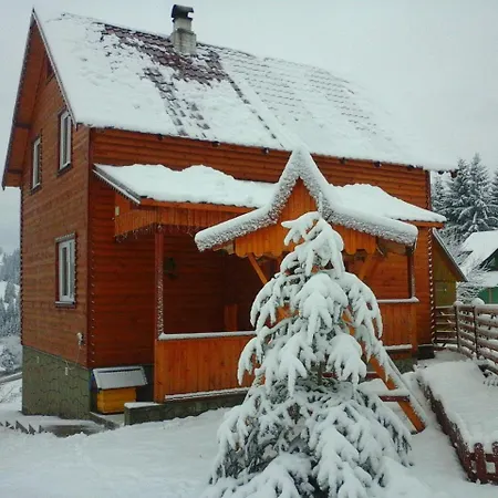 Romashka Guest House-2